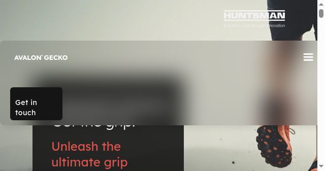 Screenshot of avalon-gecko.com