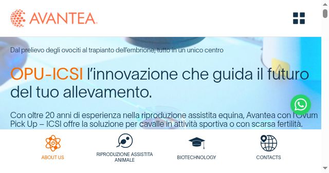 Screenshot of avantea.it