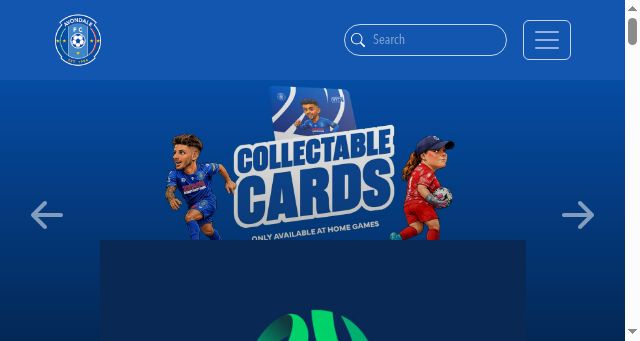 Screenshot of avondalefc.com.au