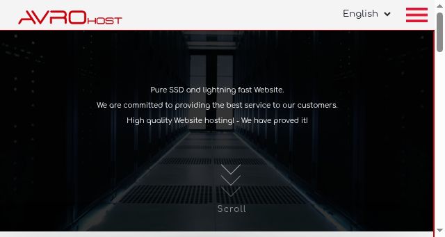 Screenshot of avrohost.com