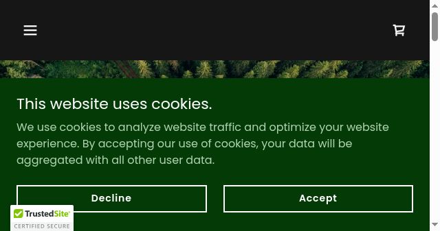 Screenshot of awesomesaucy.xyz