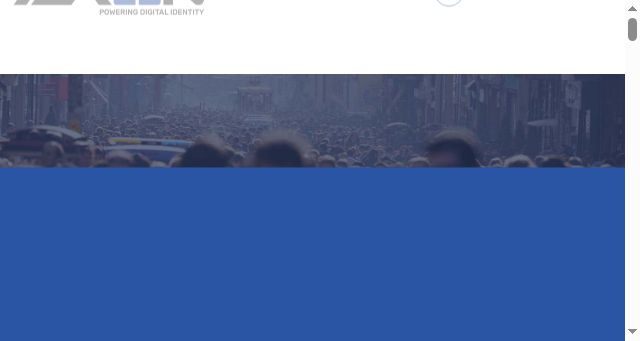 Screenshot of axonwireless.com