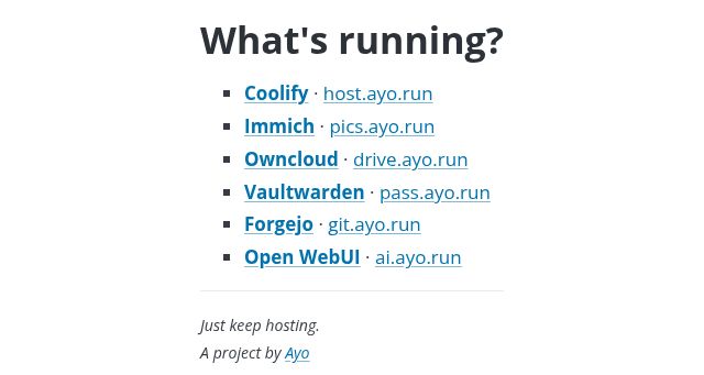 Screenshot of ayo.run