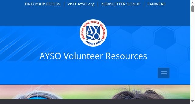 Screenshot of aysovolunteers.org
