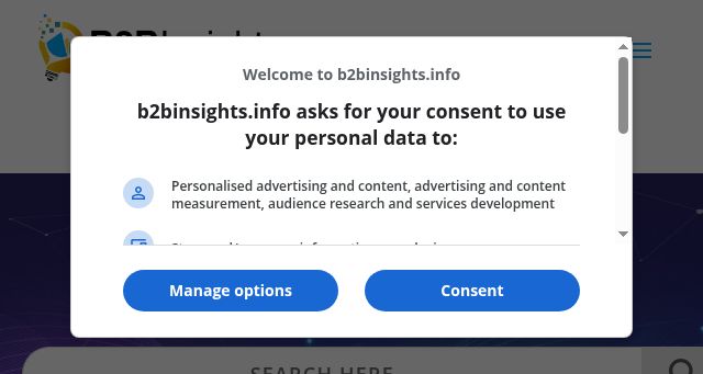 Screenshot of b2binsights.info