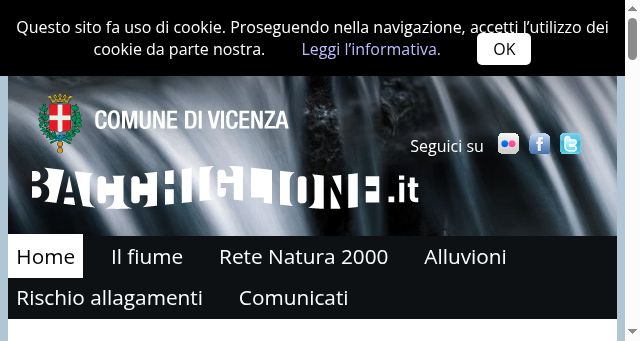 Screenshot of bacchiglione.it