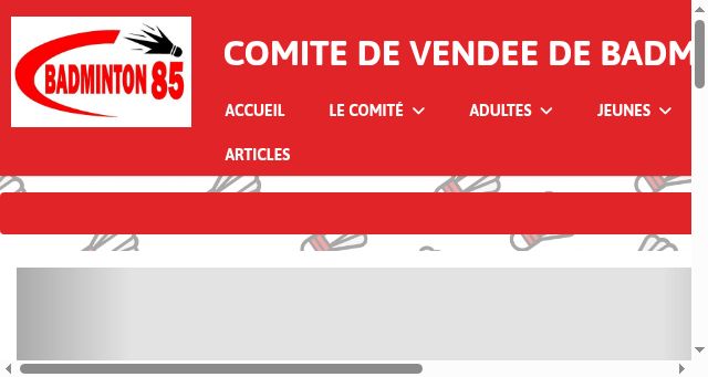 Screenshot of badminton85.fr