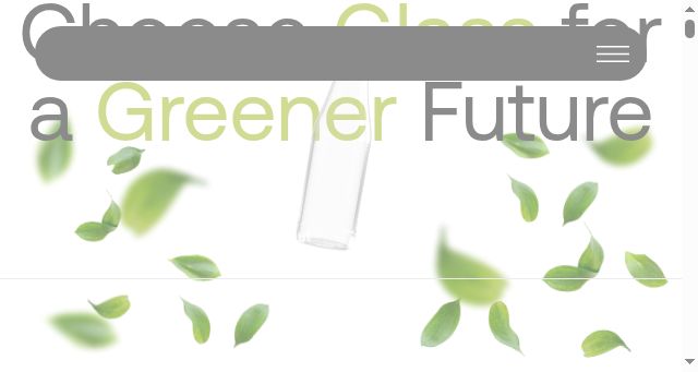 Screenshot of baglass.com