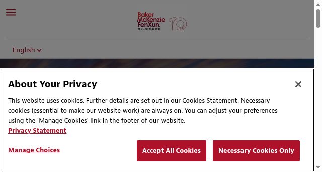 Screenshot of bakermckenziefenxun.com