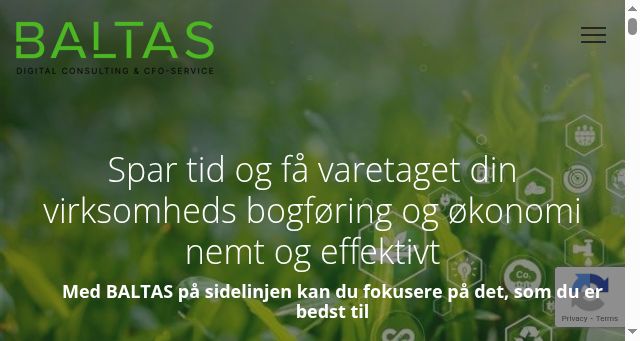 Screenshot of baltas.dk