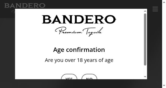 Screenshot of bandero.com