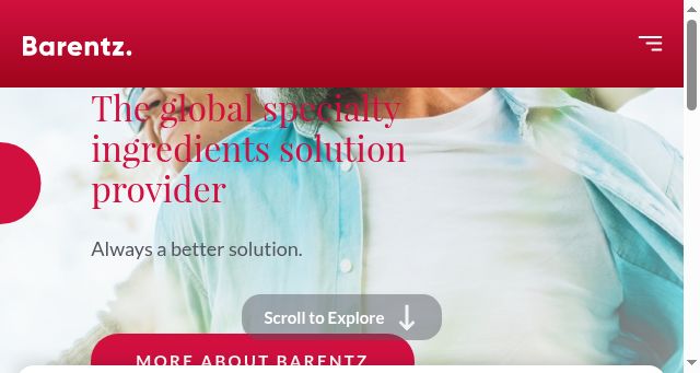 Screenshot of barentz.com