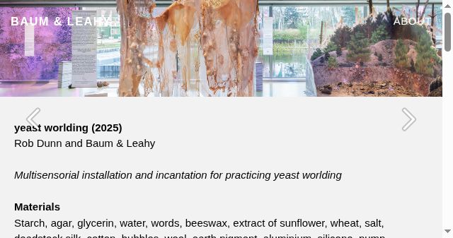 Screenshot of baumleahy.com
