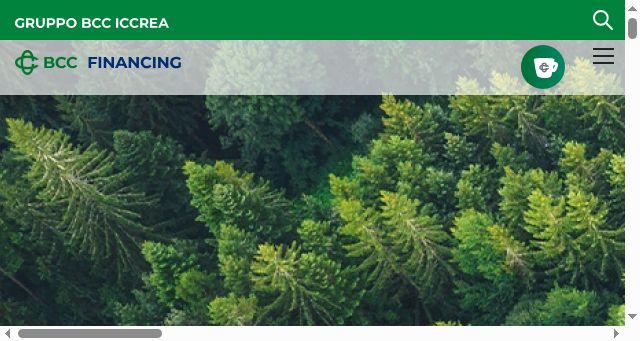 Screenshot of bccfinancing.it
