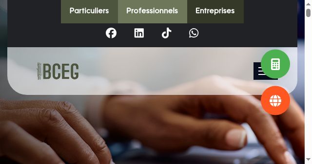 Screenshot of bceg.ga