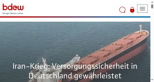 Screenshot of bdew.de