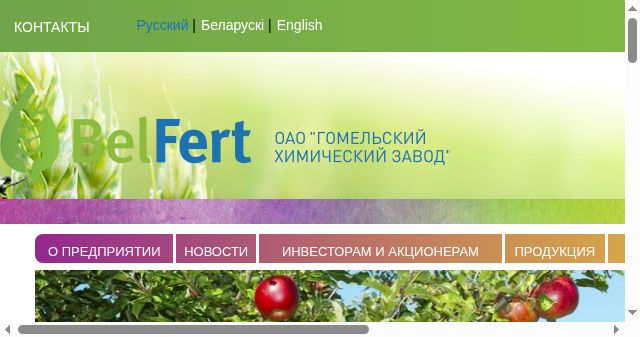 Screenshot of belfert.by