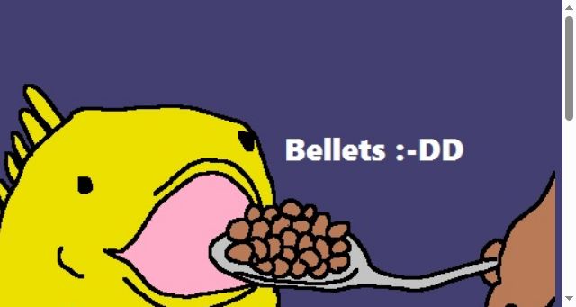 Screenshot of bellets.me