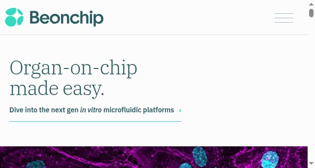 Screenshot of beonchip.com