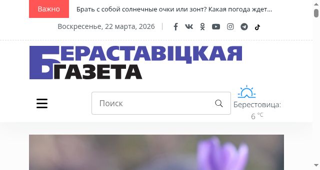 Screenshot of beresta.by