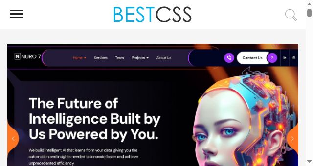 Screenshot of bestcss.in