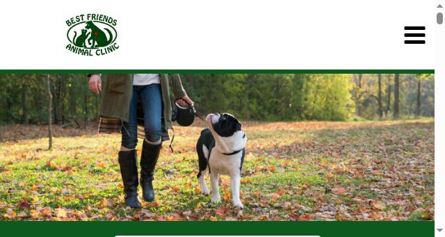 Screenshot of bestfriends-animalclinic.com