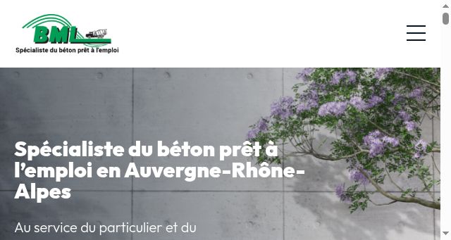 Screenshot of betonalyon.fr