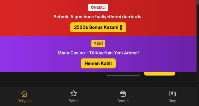 Screenshot of betyoluadres.com