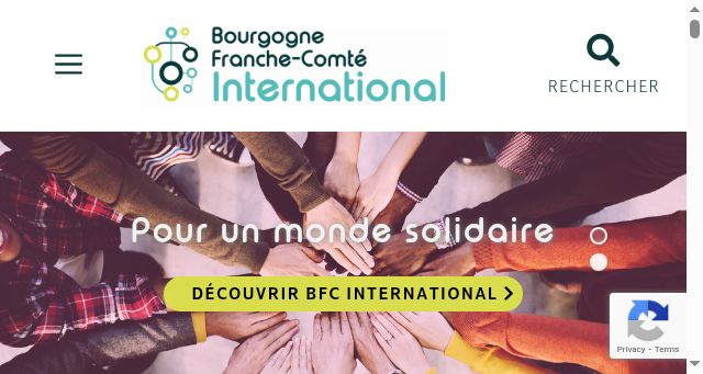 Screenshot of bfc-international.org