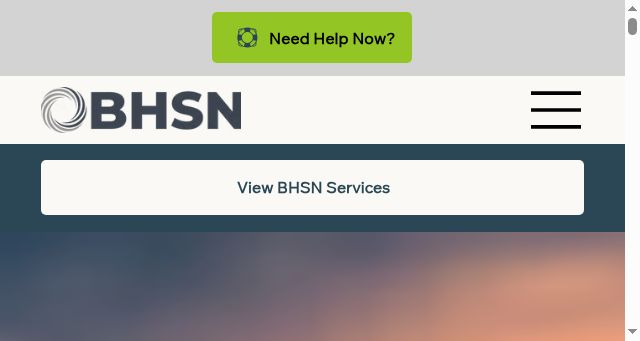 Screenshot of bhsn.org