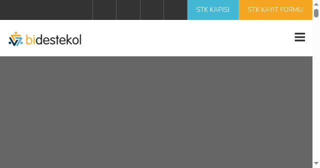 Screenshot of bidestekol.com