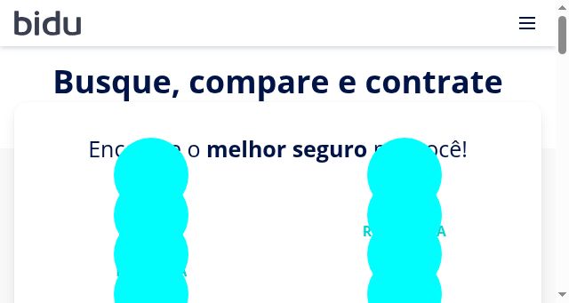 Screenshot of bidu.com.br