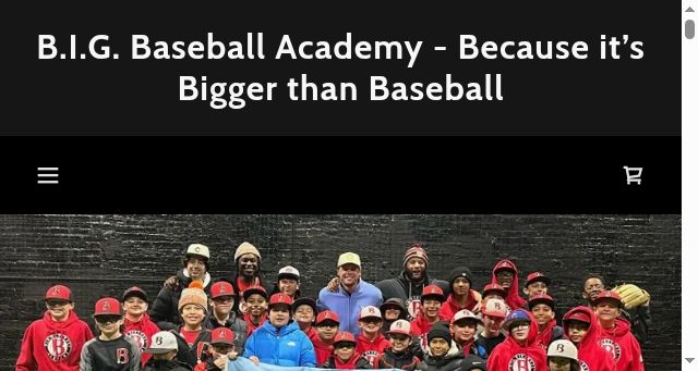 Screenshot of bigbaseballacademy.net