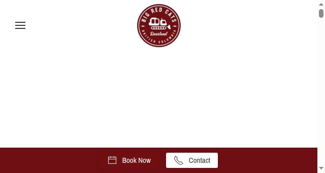 Screenshot of bigredcatskiing.com