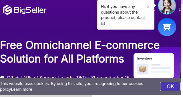 Screenshot of bigseller.pro