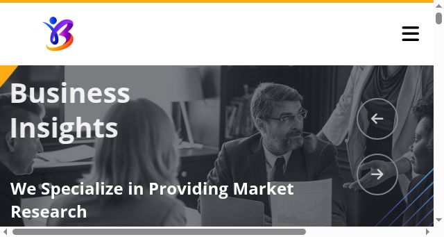 Screenshot of biinfotech.com