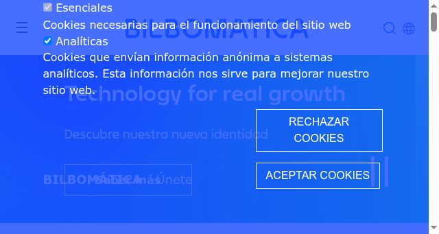 Screenshot of bilbomatica.es