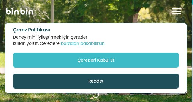 Screenshot of binbin.tech