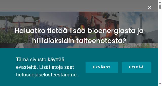 Screenshot of bioenergia.fi