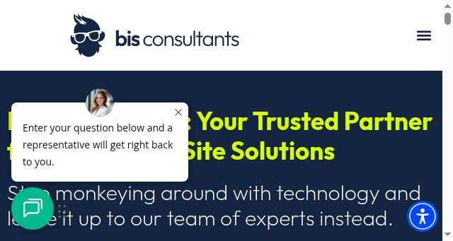 Screenshot of bisconsultants.com
