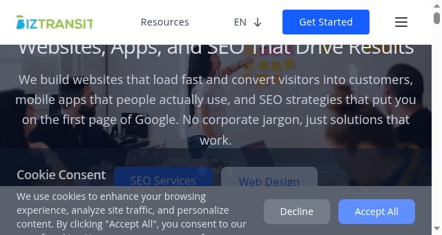 Screenshot of biztransit.com