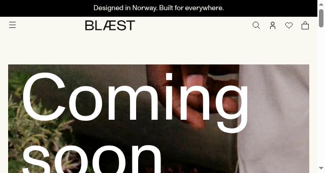 Screenshot of blstworld.com