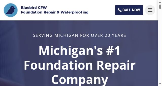 Screenshot of bluebirdcfw.com
