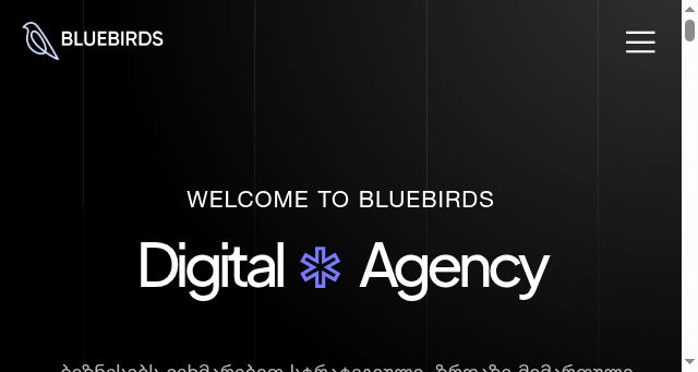 Screenshot of bluebirds.ge