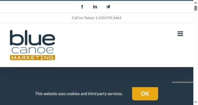 Screenshot of bluecanoemarketing.com