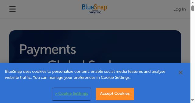 Screenshot of bluesnap.com