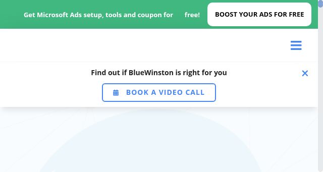 Screenshot of bluewinston.com