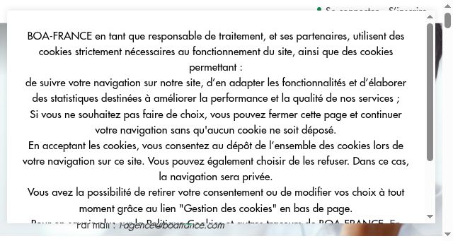 Screenshot of boafrance.com