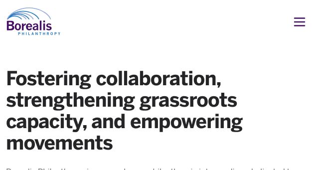 Screenshot of borealisphilanthropy.org