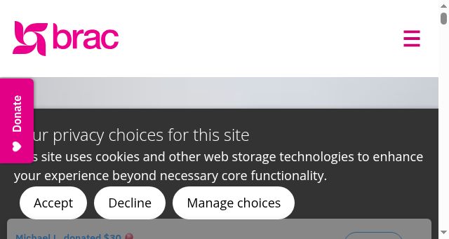 Screenshot of bracusa.org